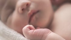 Des bébés avortés ont été mis au monde vivants dans le but de prélever et vendre leurs organes