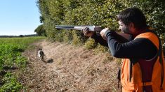 L’ouverture de la chasse marquée par la baisse du coût du permis divisé par deux