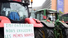 Les agriculteurs « souffrent énormément », témoigne la veuve d’un éleveur qui s’est suicidé