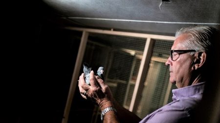 Joël Verschoot, l’homme au pigeon qui valait un million