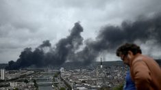 Usine Lubrizol à Rouen : 112 communes ciblées par une interdiction de ventes de produits agricoles sur le marché