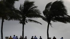 Un enfant de 7 ans est la première victime de l’ouragan Dorian