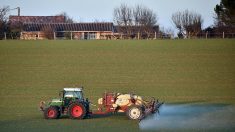 Pesticides : la distance de protection des habitations fait bondir les écologistes