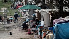 Faire expulser un squatteur de sa propriété est un droit « absolu » défendue par la Constitution