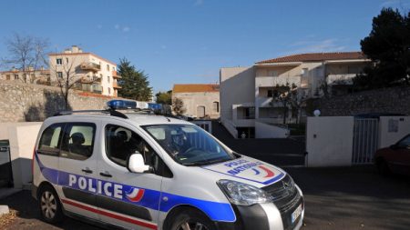 Pau : un Marocain en situation irrégulière agresse sa compagne à coups de fer à repasser « encore chaud »