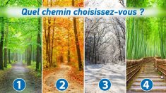 Test psychologique : le chemin que vous choisissez révèle votre vraie personnalité