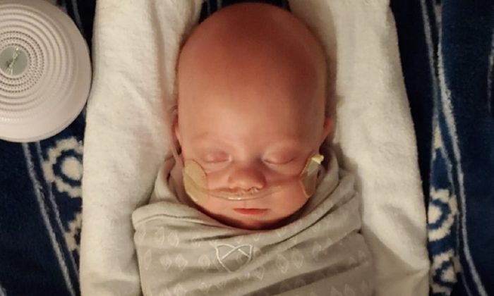 Finn James ne pesait que 511 g à sa naissance. (Fighting Finn/GoFundMe)