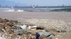 Le plastique retrouvé dans les océans provient principalement des cours d’eau de Chine