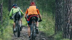 Des cyclistes du Portugal sauvent un chien squelettique dans les bois, attaché à un arbre et voué à la mort