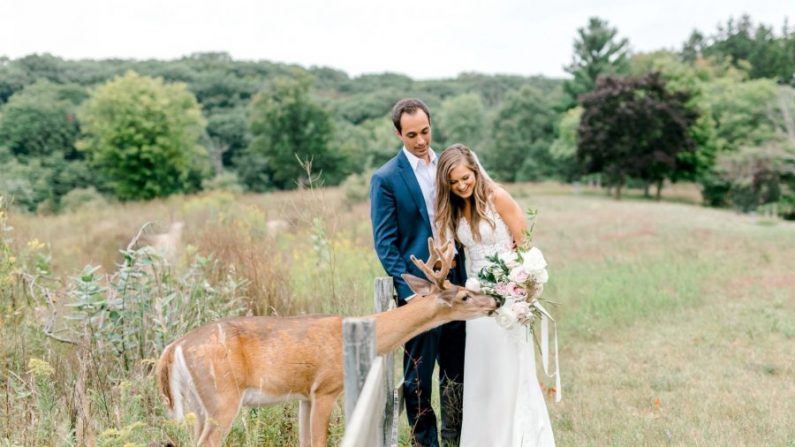 Un cerf sauvage amical vient manger le bouquet de la mariée. (Avec l'aimable autorisation de Laurenda Marie Bennett via Laurenda Marie Photography)