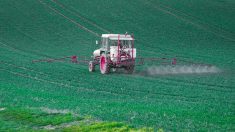 Le président du Val-de-Marne signe un arrêté interdisant le glyphosate sur son territoire