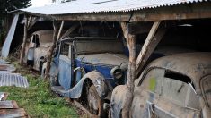 Entreposées dans des hangars d’une ferme des Deux-Sèvres, 60 voitures de collection ont été tirées de 50 ans d’oubli. Les enchères s’élèvent à 25 millions €