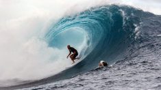 Un homme de Floride saute de sa planche de surf pour faire une figure et atterrit sur un requin