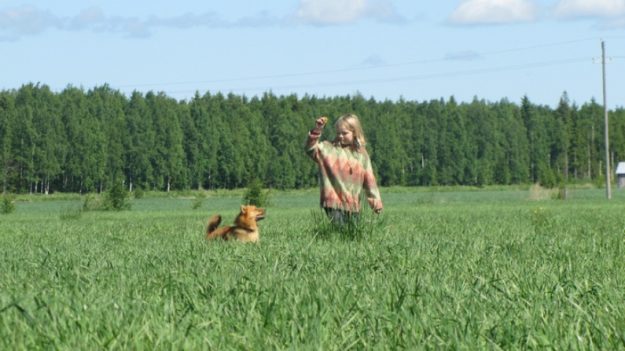 Une petite fille qui a vaincu le cancer recherche désespérément sa chienne, qui l’a aidée à guérir