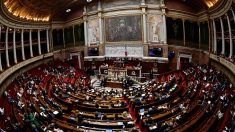 Assemblée nationale : création d’un neuvième groupe, LREM perd la majorité absolue