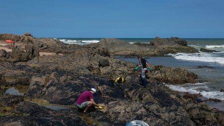 Brésil: impuissance et désarroi face à la marée noire