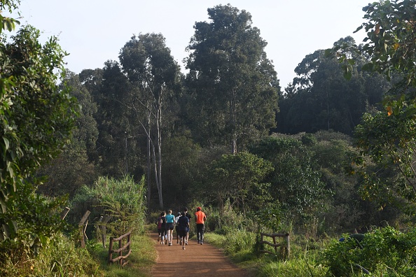 -Les gens courent dans la forêt de Karura, à Nairobi, le 17 septembre 2019. En dix ans, la forêt de Karura est passée d'un no man's land dangereux à l'une des destinations les plus sûres et les plus populaires de Nairobi, un refuge dans une ville qui a longtemps porté le surnom malheureux "Nairobbery". Photo de SIMON MAINA / AFP via Getty Images.