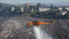 Arnold Schwarzenegger et plusieurs superstars abandonnent leurs villas à cause des incendies en Californie