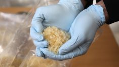 Des pêcheurs birmans trouvent pour près de 18 millions d’euros de méthamphétamine