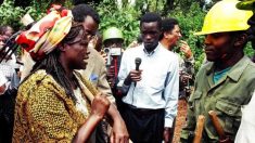 Le no man’s land devenu écrin de verdure: à Nairobi, la forêt de Karura renaît