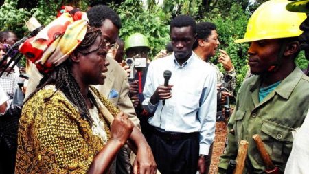 Le no man’s land devenu écrin de verdure: à Nairobi, la forêt de Karura renaît