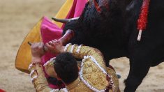 Un jeune torero grièvement blessé dans les arènes de Madrid