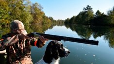 Oise : un chasseur condamné pour avoir tiré sur un pêcheur avec lequel il avait un désaccord