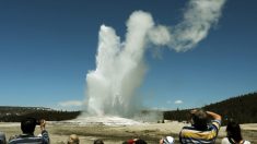 Un touriste récolte de sévères brûlures après avoir trébuché dans l’obscurité en marchant dans un geyser de Yellowstone