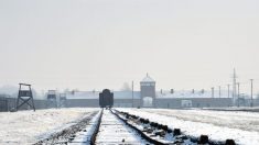 Une survivante de l’Holocauste qui a échappé à une chambre à gaz à Auschwitz anéantit les critiques contre Donald Trump