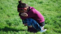 Yvelines : une mère jugée pour avoir obligé sa fille « à manger des cafards et des araignées qui pullulaient dans la maison »