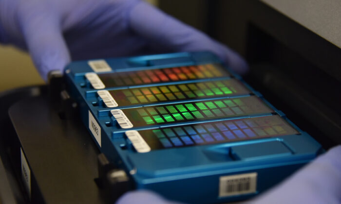 Un technicien place une puce à ADN dans le scanner d'un laboratoire de génétique à Pékin en Chine, le 22 août 2018. (Greg Baker/AFP/Getty Images)