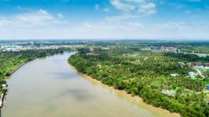 Un pêcheur britannique attrape la plus grosse carpe du monde dans le fleuve Mae Klong en Thaïlande