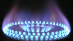 Gaz : hausse des tarifs de 8,7% au 1er septembre