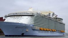 Une femme qui s’est mise sur la rambarde d’un navire pour pendre un selfie a été débarquée de la croisière