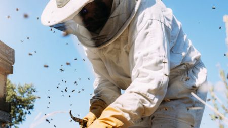 Un homme qui murmure à l’oreille des abeilles passe 5 heures à enlever un énorme nid d’abeilles caché derrière un mur de briques