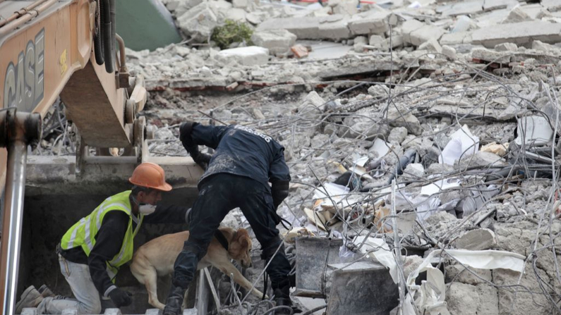 Des sauveteurs avec un chien renifleur recherchent des survivants enterrés sous les décombres d'un bâtiment qui s'est écroulé à cause d'un séisme de magnitude 7,1 à Mexico le 19 septembre 2017. Image d'illustration. (Diana Ulloa/AFP/Getty Images)