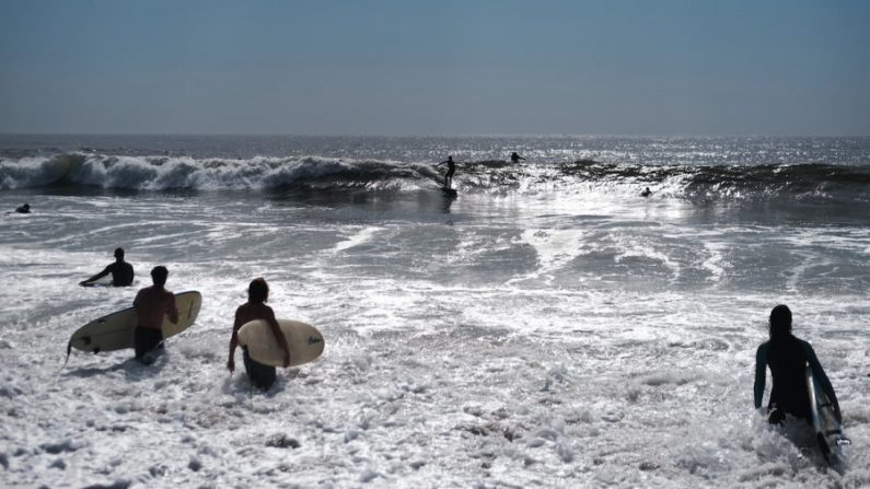 Des surfeurs dans l'État de New York, le 2 octobre 2019. (Spencer Platt/Getty Images)