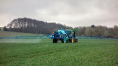 Anti-pesticides : la maire de Parempuyre (Gironde) maintient son arrêté