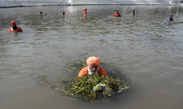 (Getty Images)