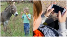 Une famille qui a élevé ses 9 enfants sans technologie montre qu’il est possible d’être heureux sans tablette ni téléphone portable