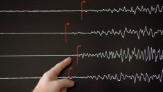 Strasbourg : un nouveau léger tremblement de terre de magnitude 2,6 a touché l’agglomération