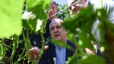 « Zéro alcool » au volant :  » lorsqu’on boit, on ne conduit pas » déclare le ministre de l’Agriculture Didier Guillaume