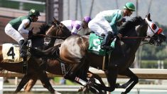 La Breeders Cup ternie par l’euthanasie d’un cheval