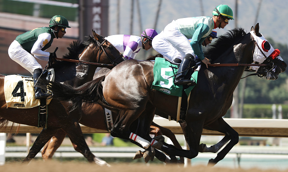 -C’est le 37e cheval à mourir depuis le 26 décembre à Santa Anita, une hécatombe qui a placé cet hippodrome des environs de Los Angeles sous le feu des critiques. Photo de Mario Tama / Getty Images.