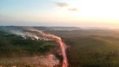 Amazonie : déforestation en hausse de 43%, plus de 10 000 km2 déboisés en un an