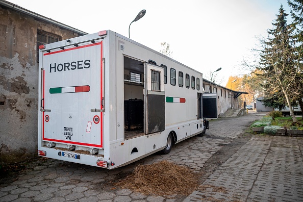 -Un camion de transport d'animaux portant une plaque d'immatriculation italienne, dans lequel les autorités douanières ont découvert neuf tigres épuisés et affamés, se trouve dans l'arrière-cour du zoo de Poznan, en Pologne, le 6 novembre 2019. Neuf tigres transportés d'Italie en Russie ont été découverts dans des conditions désastreuses et ont été amenés au zoo de Poznan après l’interception aux douanes. Photo de WOJTEK RADWANSKI / AFP via Getty Images.