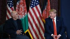 En Afghanistan, Trump annonce la reprise des négociations avec les talibans