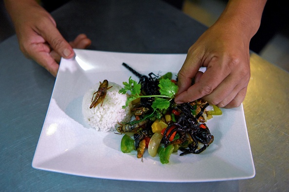 -Le chef Seiha Soen préparant un plat avec des sauterelles, une tarentule, un scorpion et des légumes sautés dans la cuisine du restaurant Bugs Cafe au Cambodge. Le premier restaurant de tapas aux insectes du Cambodge associe la culture des cocktails à des plats effrayants avec des chenilles. Photo de TANG CHHIN SOTHY / AFP via Getty Images.