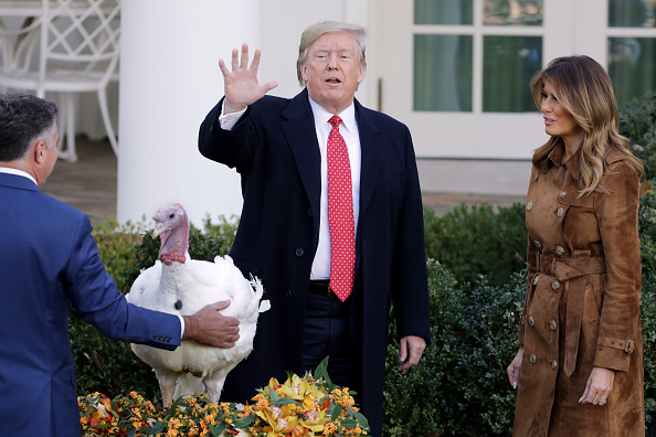 -Le président des États-Unis, Donald Trump, a gracié la dinde de Thanksgiving dans la roseraie de la Maison Blanche à Washington DC. La grâce de la dinde a été officialisée en 1989 sous l’ancien président George HW Bush. Photo de Chip Somodevilla / Getty Images.