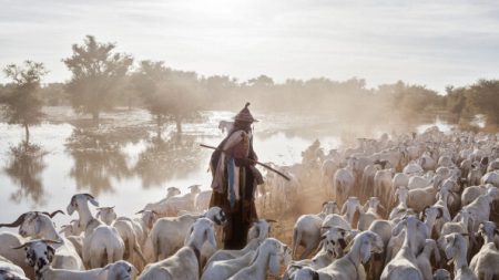 Mali: « Tous les Peuls ne sont pas jihadistes » (ICG)